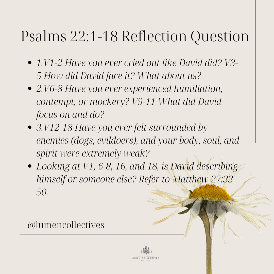 Daily Chapter Psalm 22 1 18 Reflection Question Lumen Collectives daily-chapter-psalm-22-1-18-reflection-question-lumen-collectives